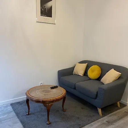 : Superbe En Plein Centre Apartment